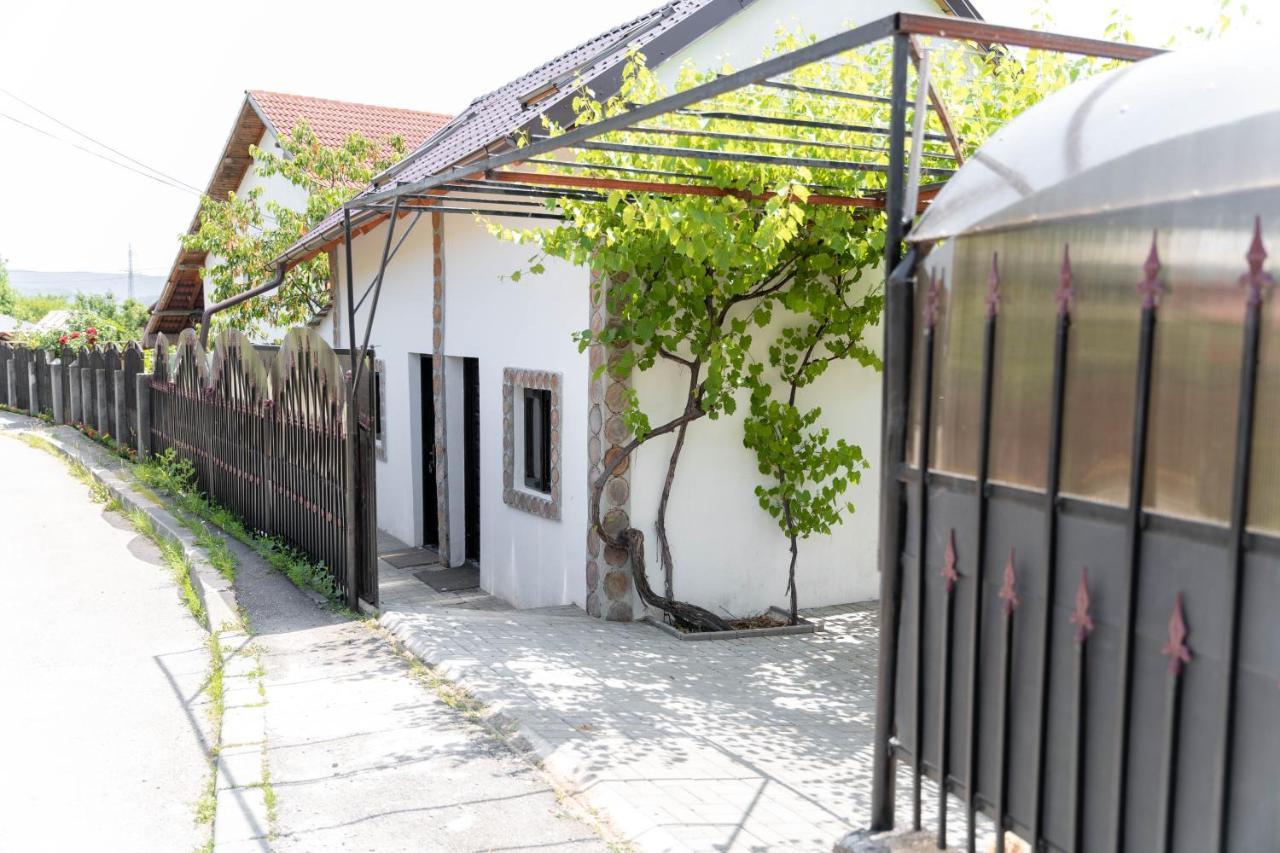 La Fanar Guesthouse Curtea de Argeş Buitenkant foto